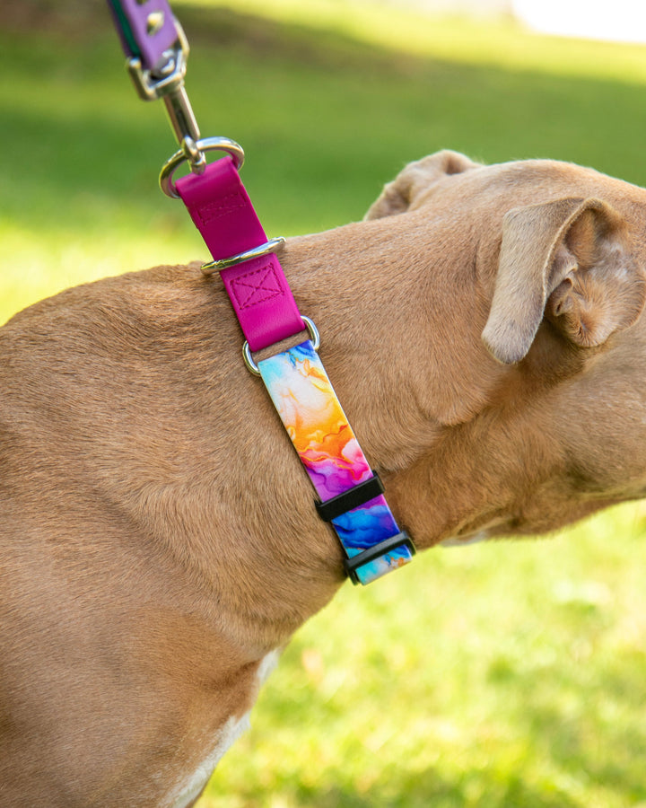 Fi Compatible Series 3/3+ BioThane Adjustable Limited Slip Collar | SeaFlower Co