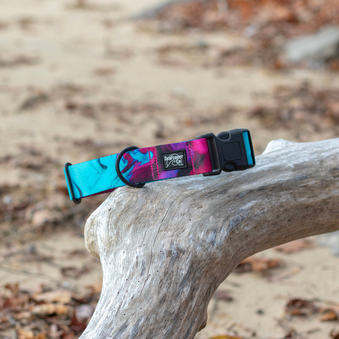 Colorful dog collar on a wooden log with a natural background