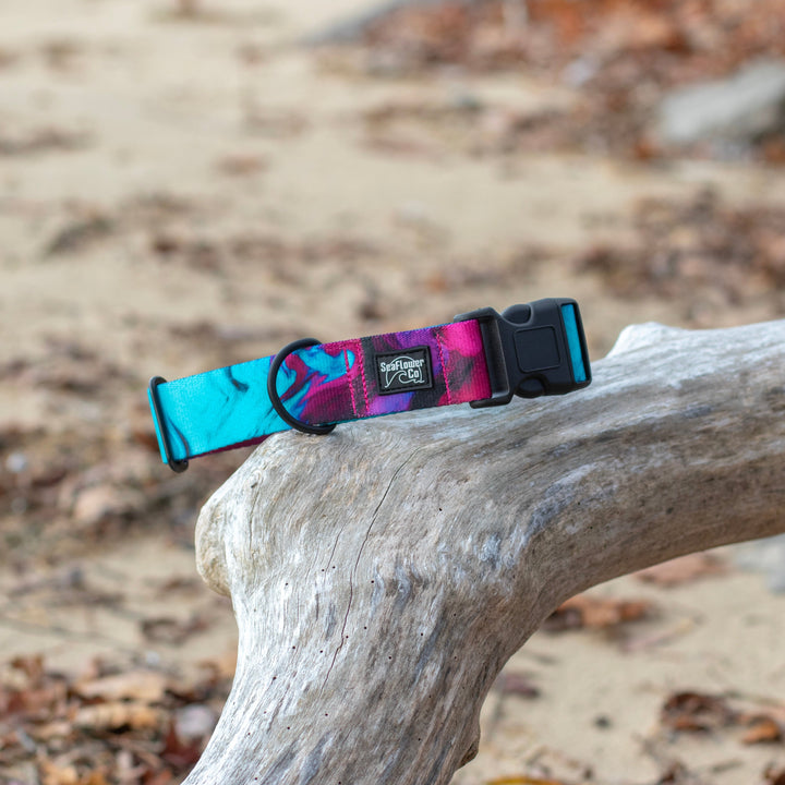 Colorful dog collar on a wooden log with a natural background