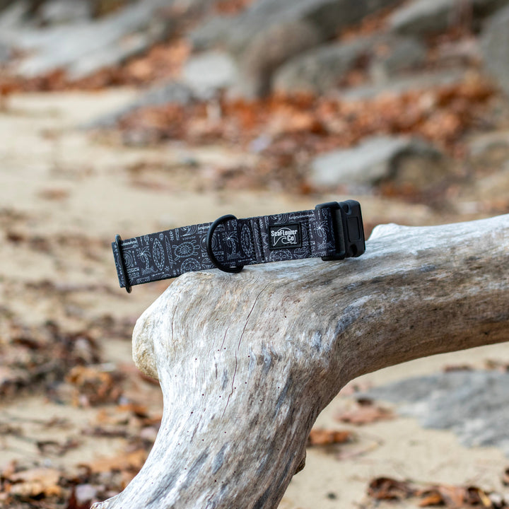 Black dog collar on a wooden log with a natural background