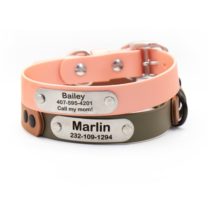 Two-Toned Waterproof BioThane® Collar With Stainless Steel Nameplate