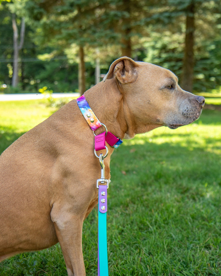 Fi Compatible Series 3/3+ BioThane Adjustable Limited Slip Collar | SeaFlower Co