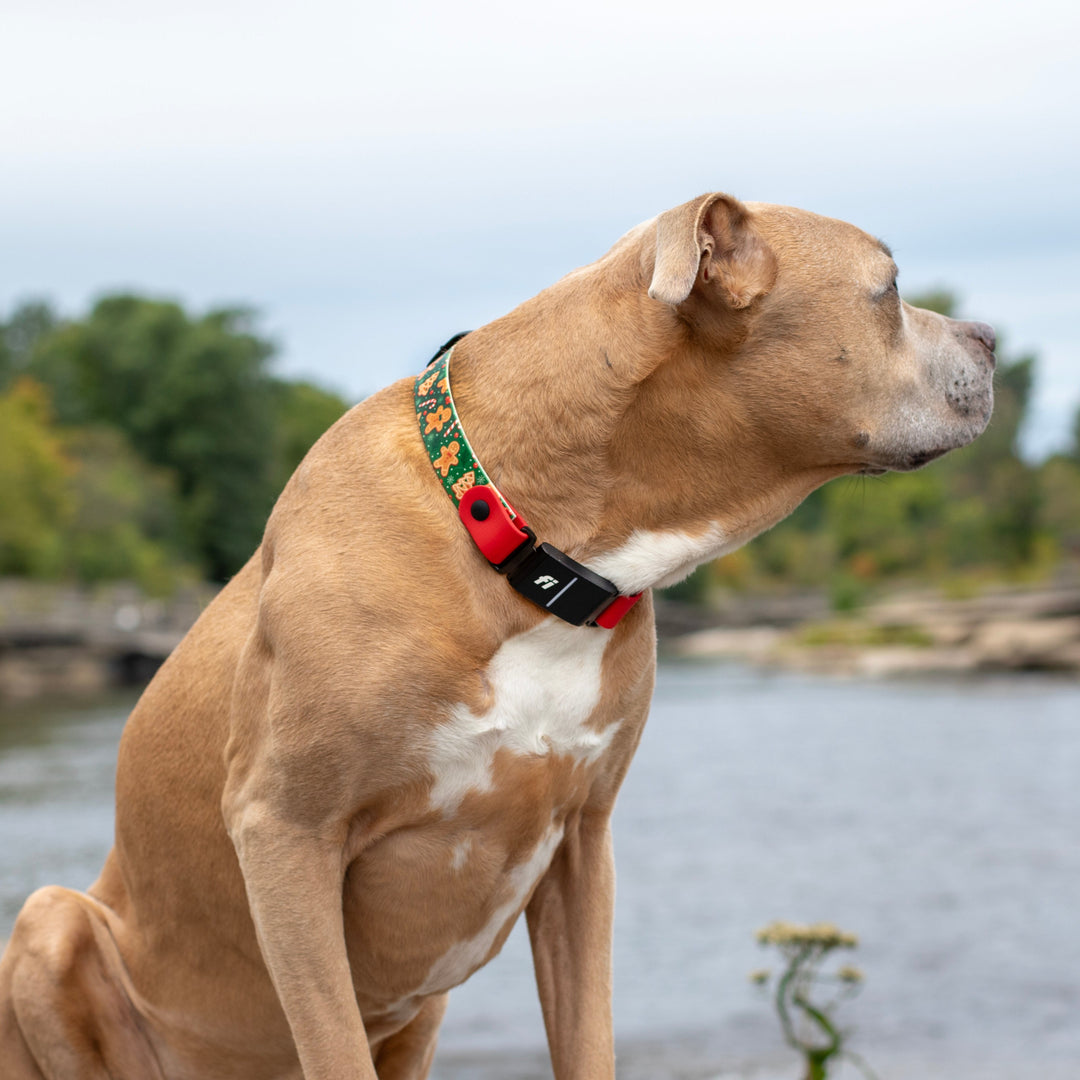 Christmas/Winter Fi Compatible 3/3+ UV-Printed BioThane® Classic Buckle Collar