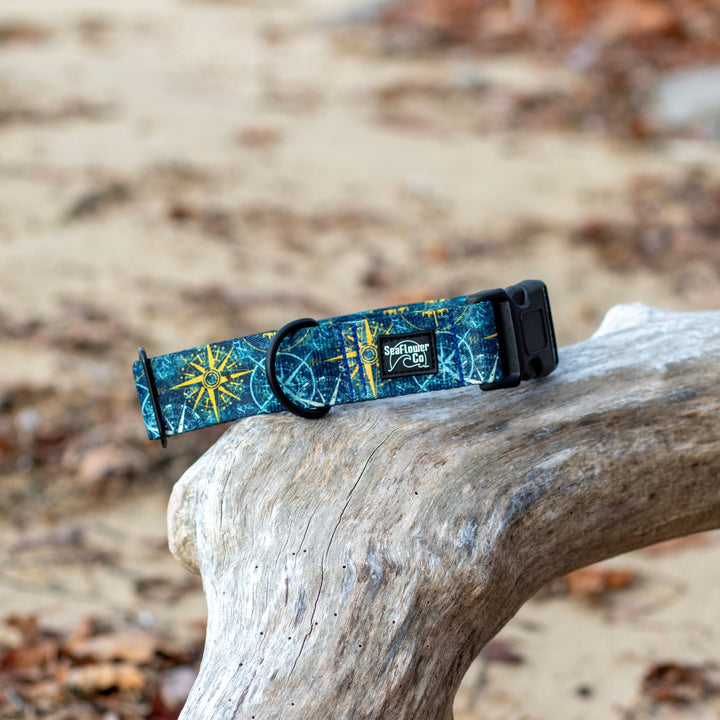 Dog collar with compass design on a wooden log outdoors