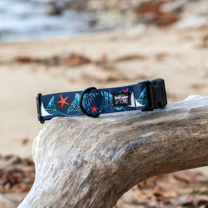 Dog collar with nautical design on a piece of driftwood by the beach