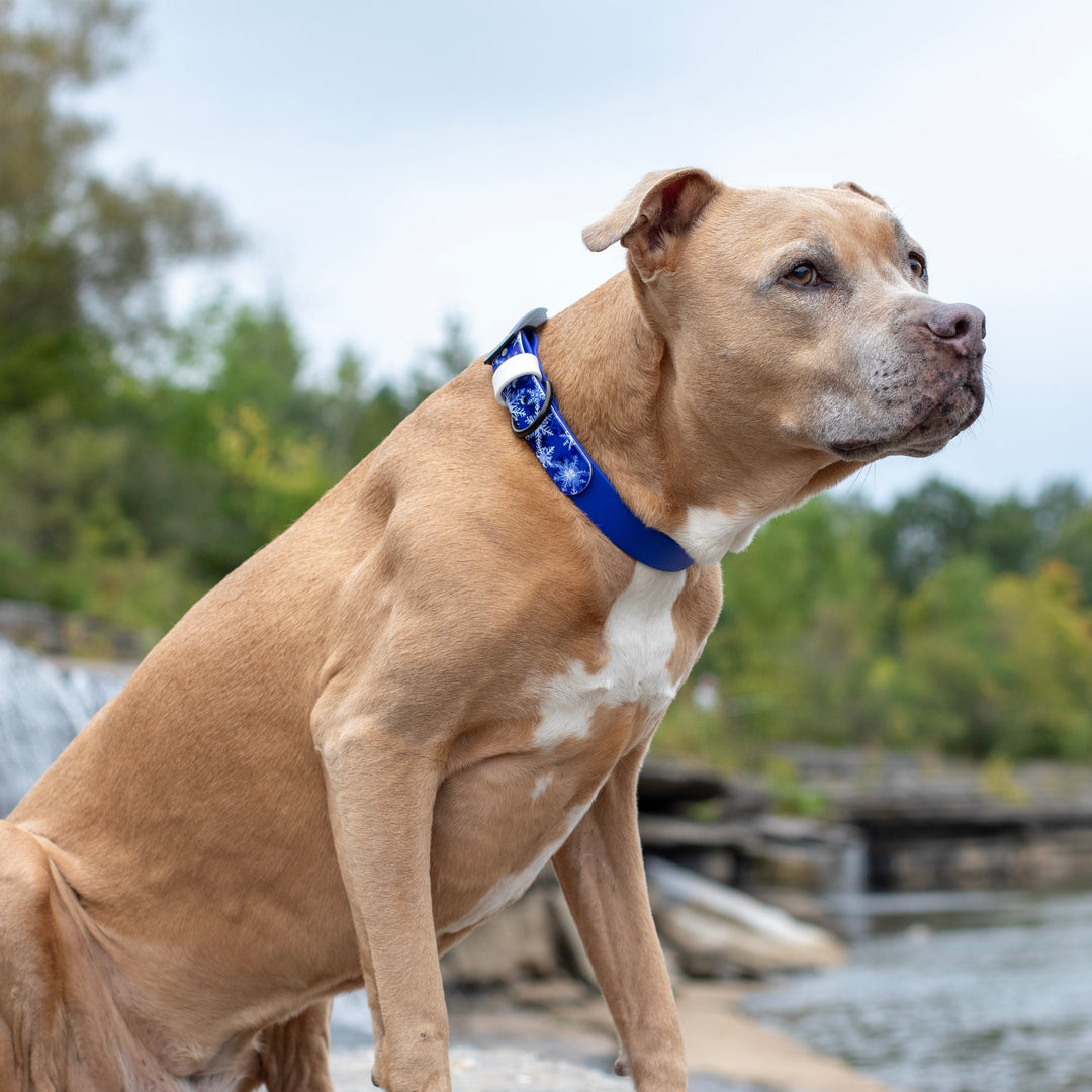 Christmas/Winter UV-Printed BioThane® Collar