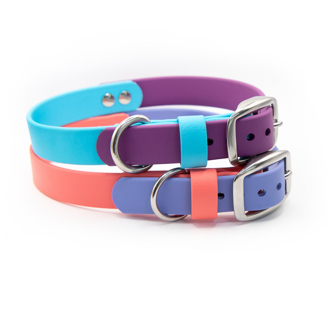 Two-Toned Waterproof BioThane® Collar With Strap Keeper
