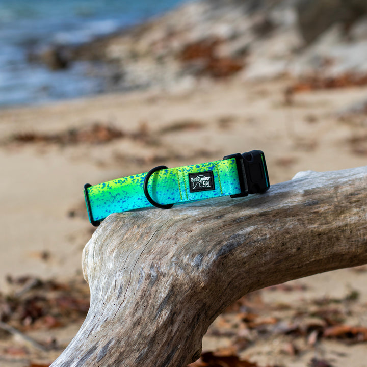 Mahi Mahi Durable Dog Collar