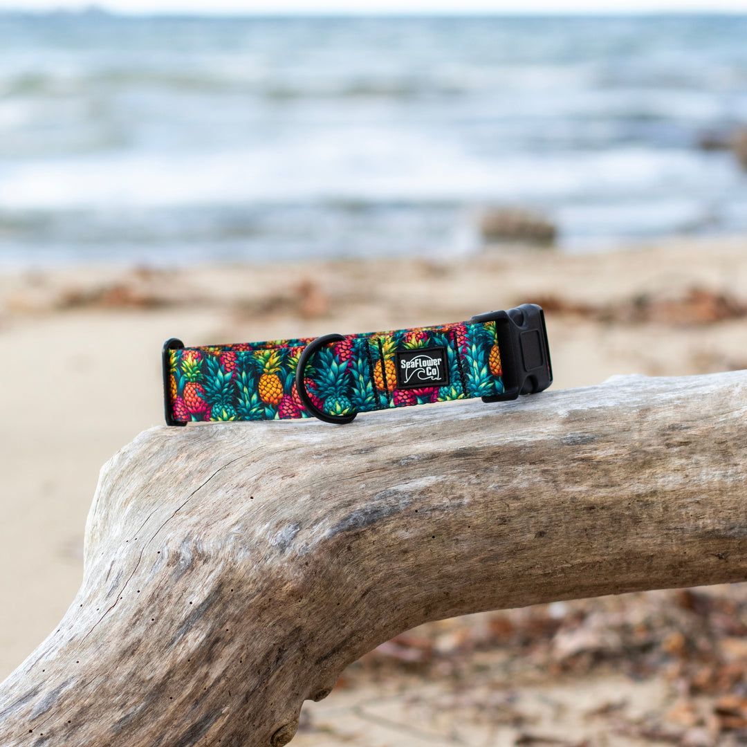 Summer Pineapples Durable Dog Collar | SeaFlower Co