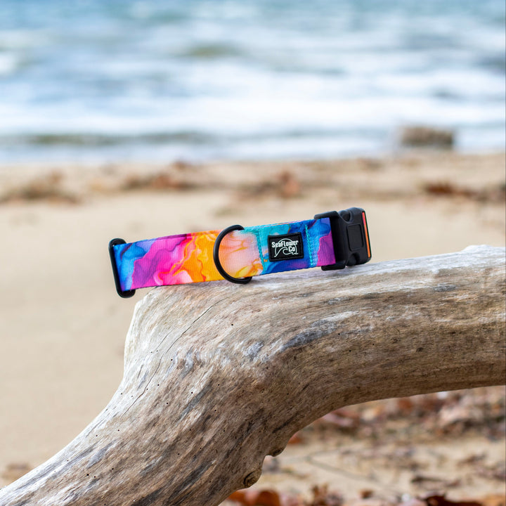 Vibrant Rainbow Dog Collar | SeaFlower Co