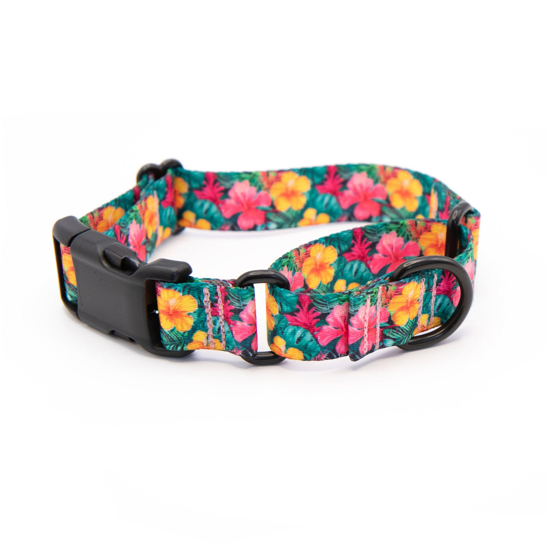 Hawaiian Floral Martingale Collar With Buckle | SeaFlower Co
