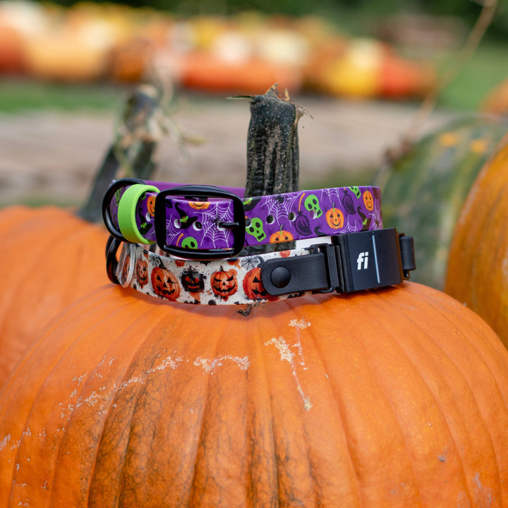 Halloween Fi Compatible 3/3+ UV-Printed BioThane® Classic Buckle Collar