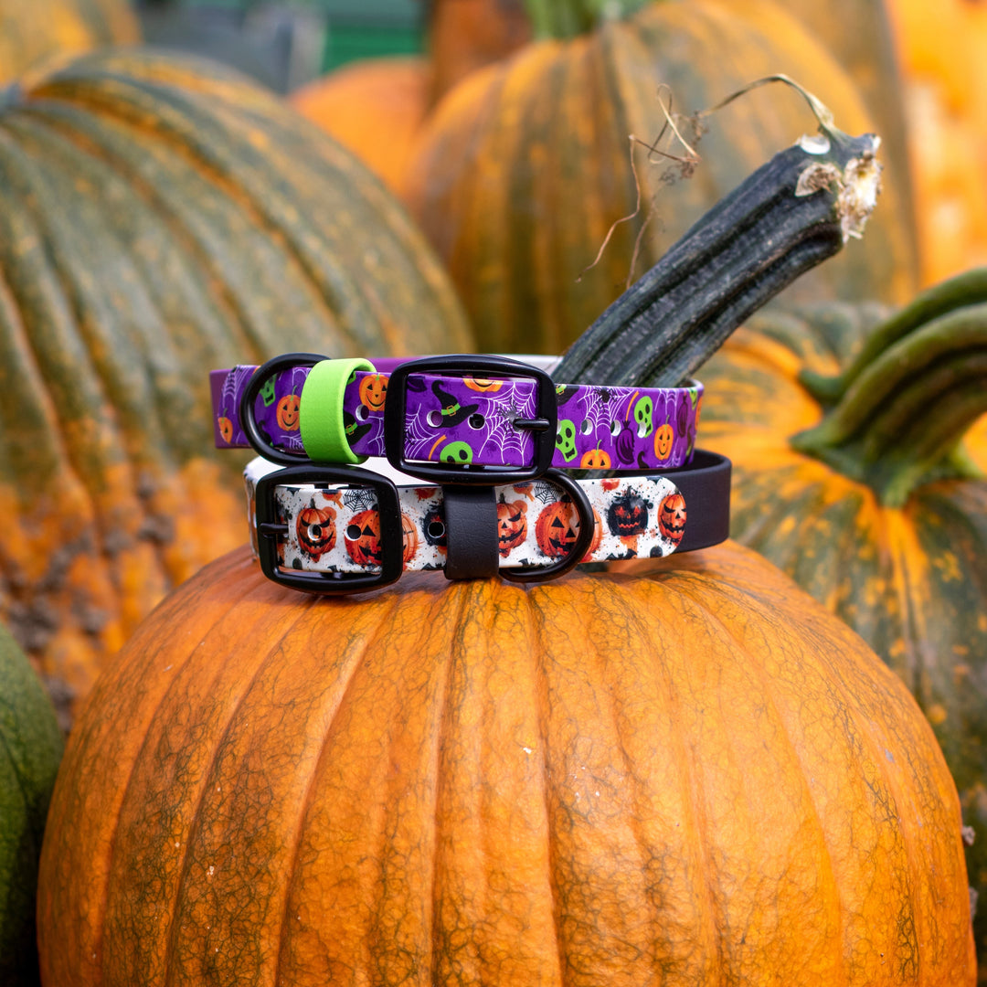 Halloween UV-Printed BioThane® Collar