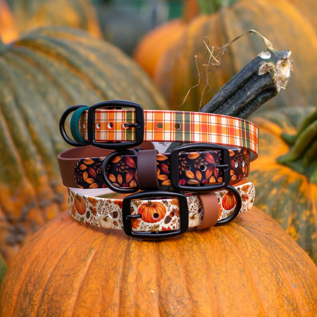 Autumn UV-Printed BioThane® Collar