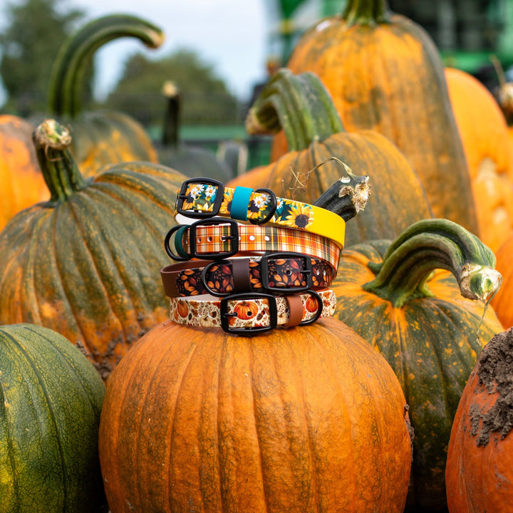 Autumn UV-Printed BioThane® Collar
