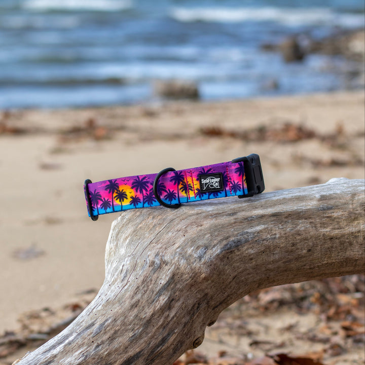 Sunset Beach Dog Collar | SeaFlower Co