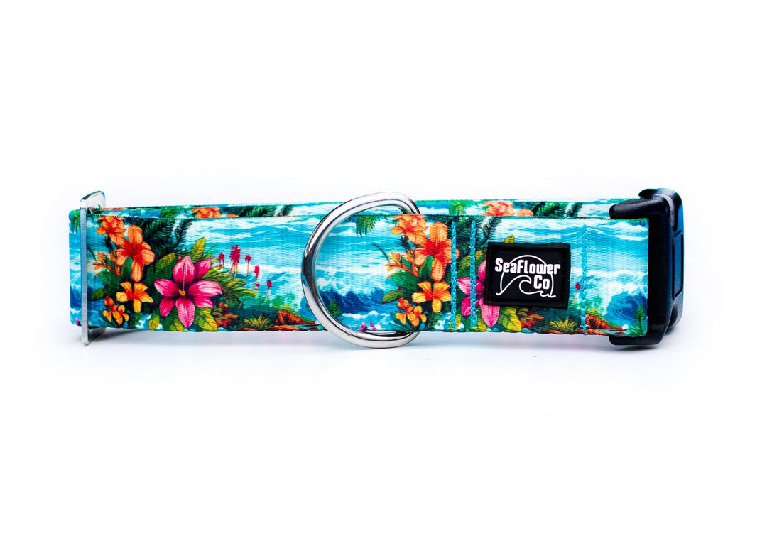 Hawaii Beach Pet Collar | Stylish & Durable Dog Wear