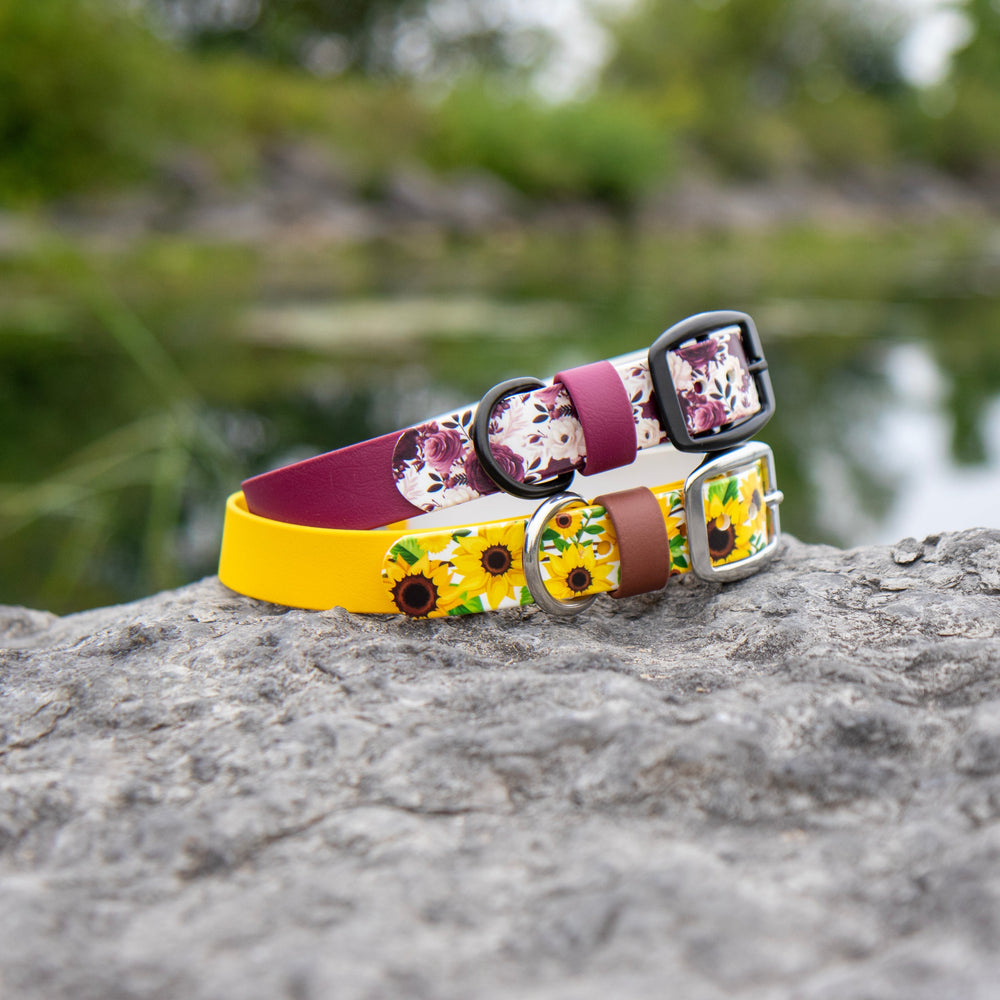 Two decorative dog collars with floral and sunflower patterns, resting on a large gray rock with a blurred outdoor pond and greenery in the background.