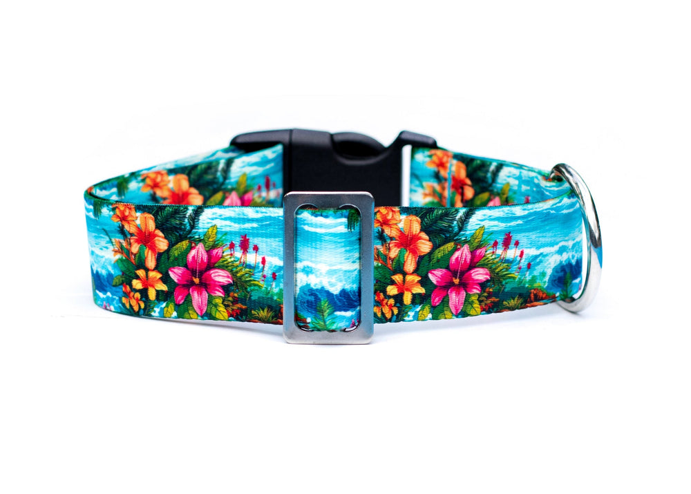 Hawaii Beach Pet Collar | Stylish & Durable Dog Wear