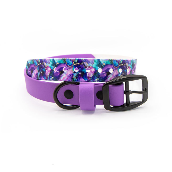 Purple dog collar with a colorful pattern on a white background