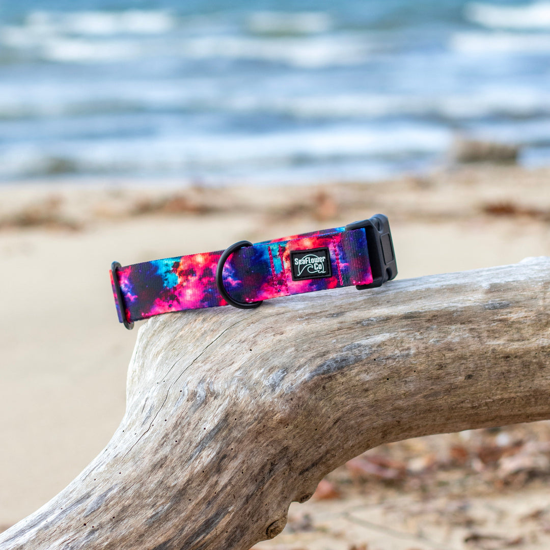 Galaxy Durable Dog Collar  | SeaFlower Co
