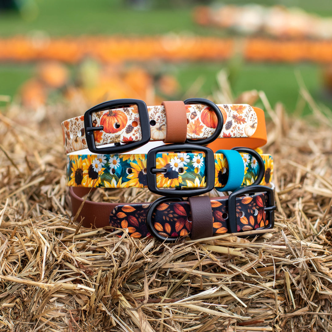 Four dog collars with autumn-themed floral and leaf patterns are stacked on a bale of hay in an outdoor pumpkin patch setting.