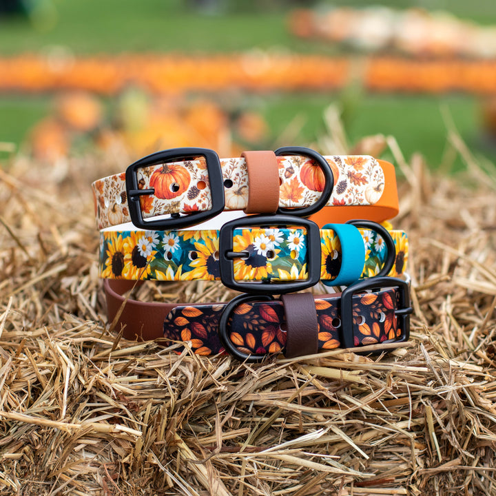 Four dog collars with autumn-themed floral and leaf patterns are stacked on a bale of hay in an outdoor pumpkin patch setting.