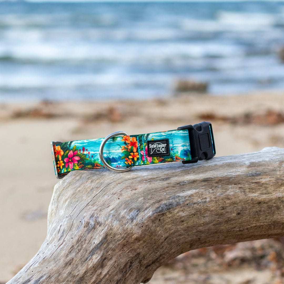 Hawaii Beach Pet Collar | Stylish & Durable Dog Wear