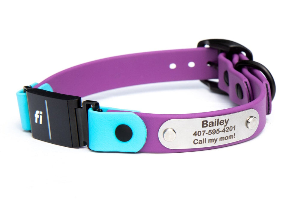 Fi Compatible Series 3/3+ Waterproof Collar With Personalized Nameplate | SeaFlower Co