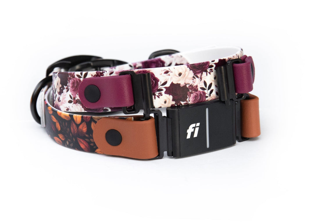 LIMITED EDITION Fall/Halloween BioThane® Collars: Fi Series 3/3+ Compatible