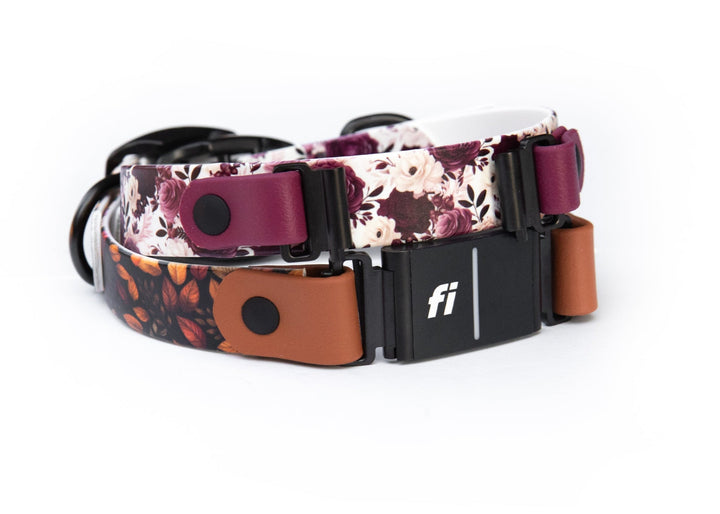 LIMITED EDITION Fall/Halloween BioThane® Collars: Fi Series 3/3+ Compatible