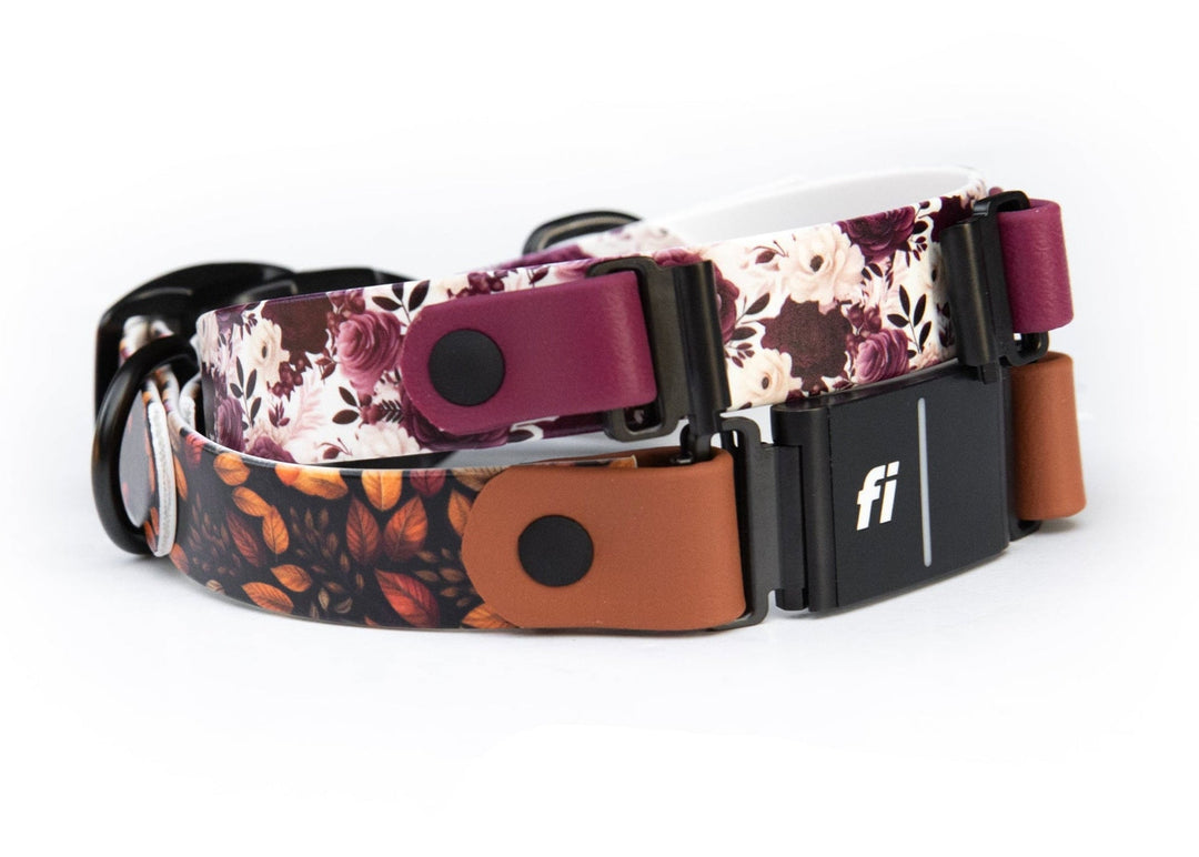 Floral patterned dog collar with brand logo on a white background