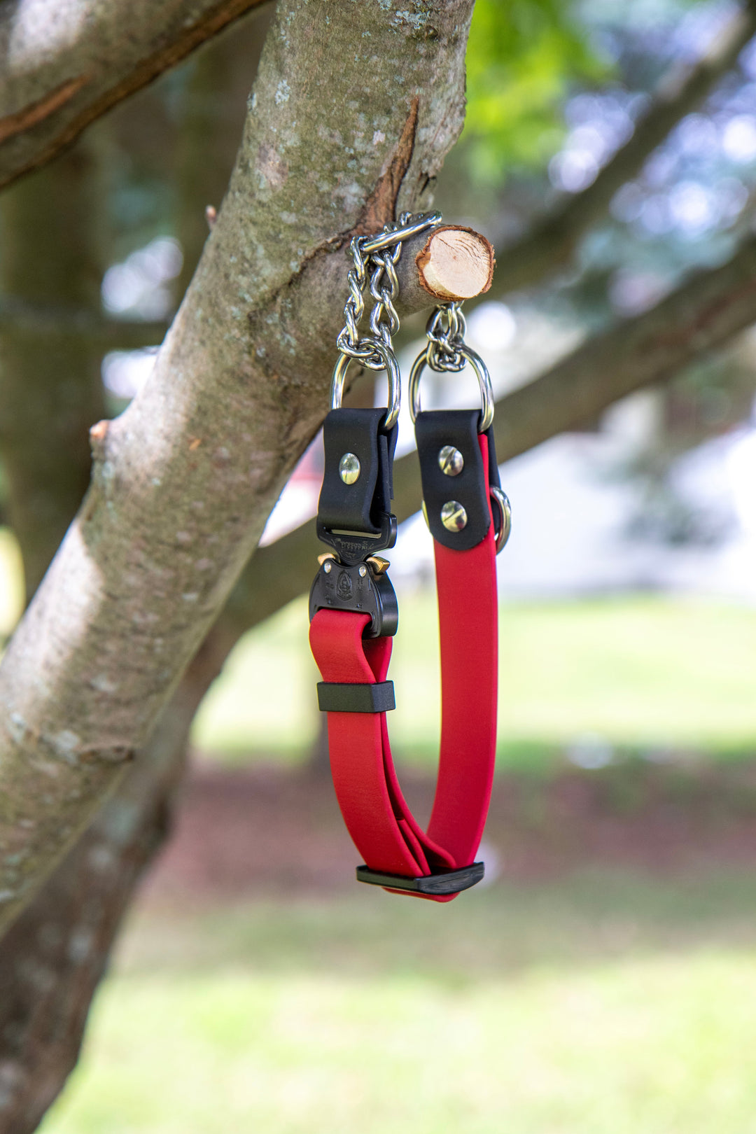 Adjustable BioThane Martingale With Quick Release Buckle | SeaFlower Co
