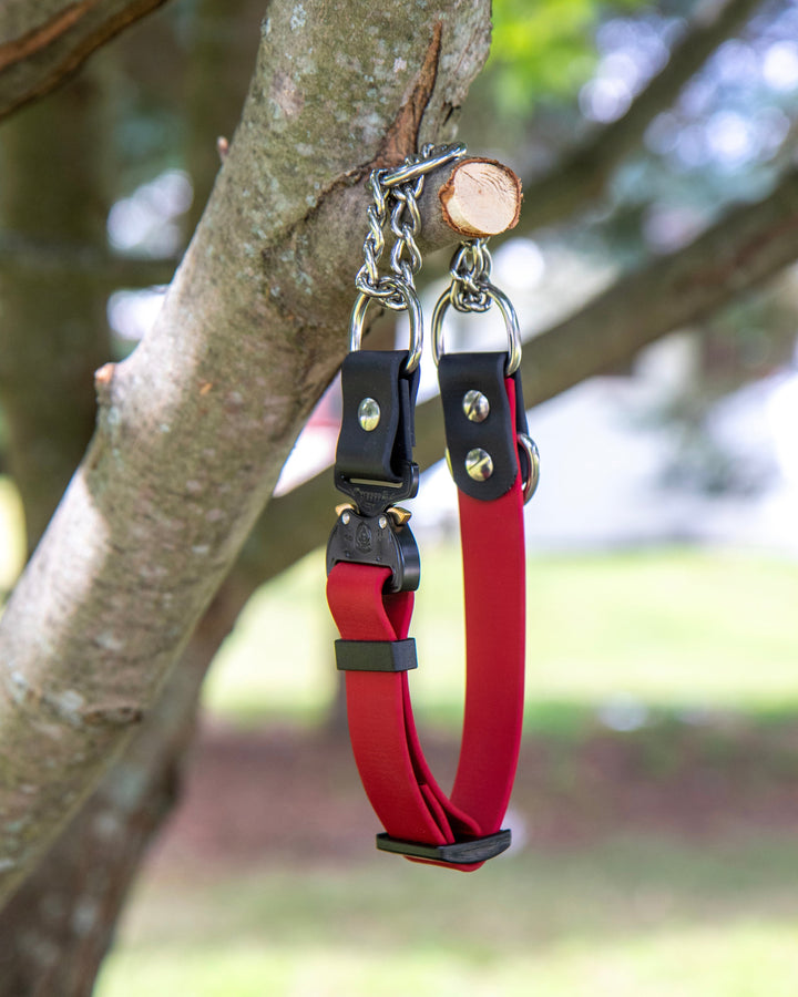 Adjustable BioThane Martingale With Quick Release Buckle | SeaFlower Co
