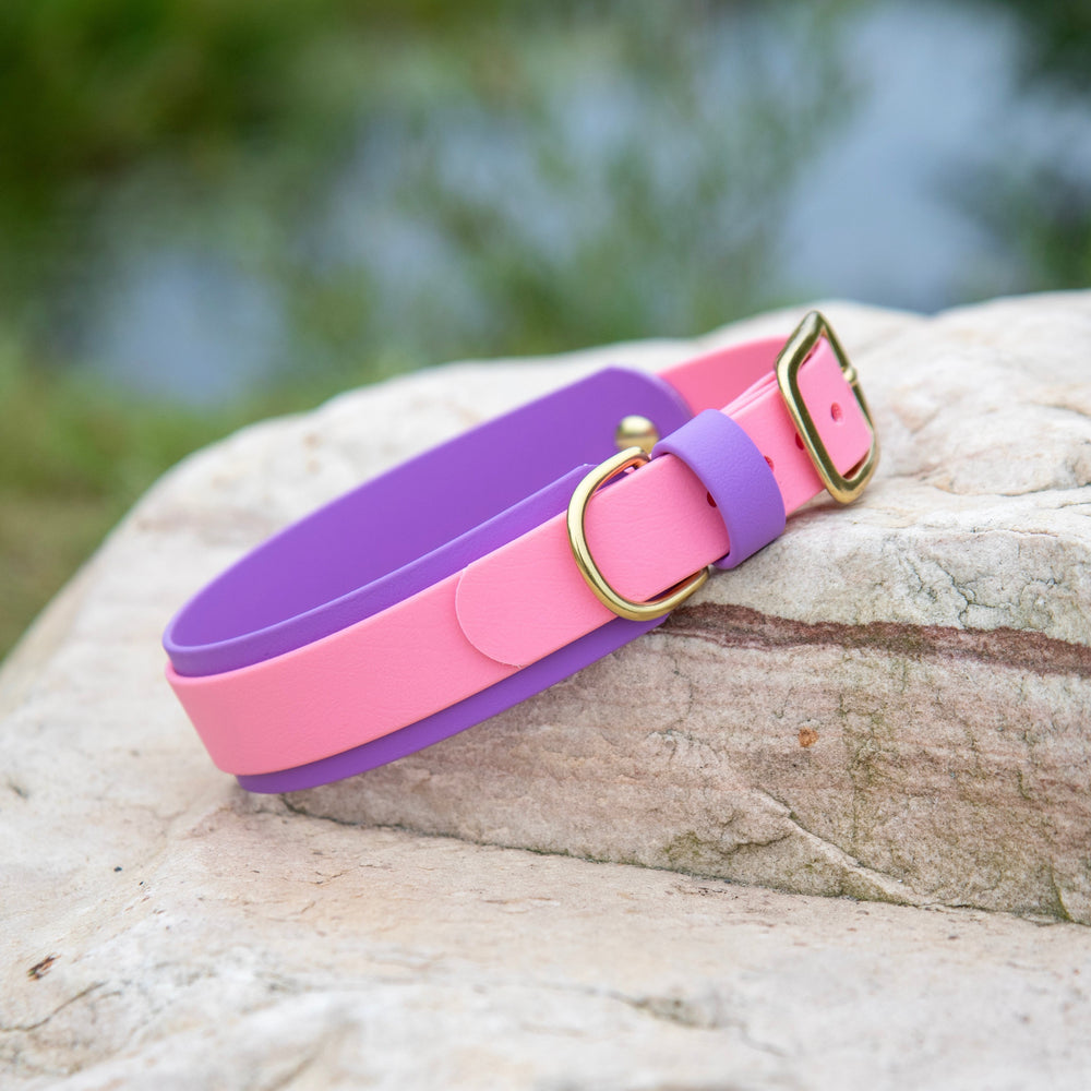 A two-tone dog collar in pink and purple with gold-tone hardware, resting on a large light-colored stone with a blurred outdoor background.