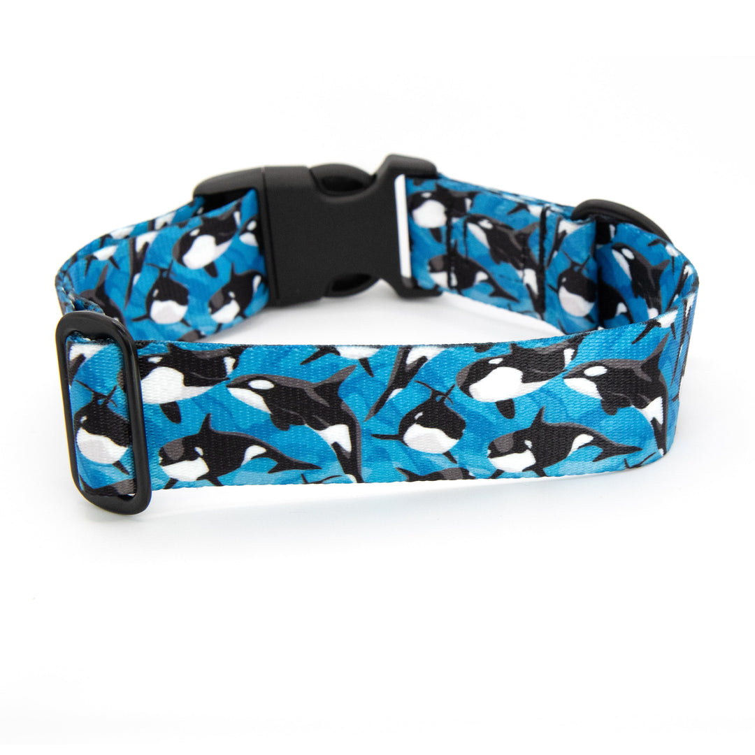 Orca Dog Collar | SeaFlower Co