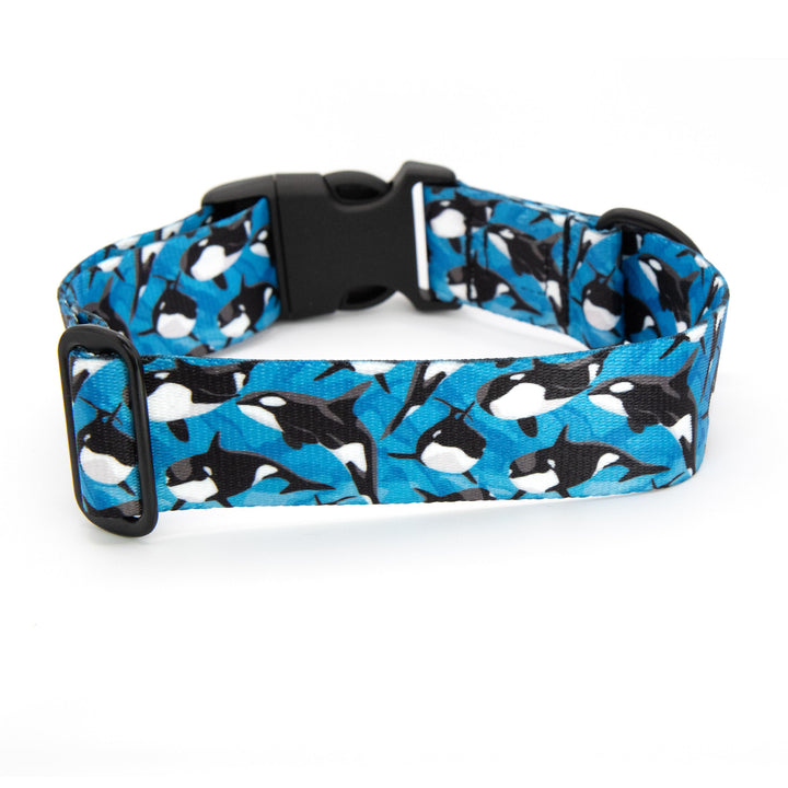 Orca Dog Collar | SeaFlower Co