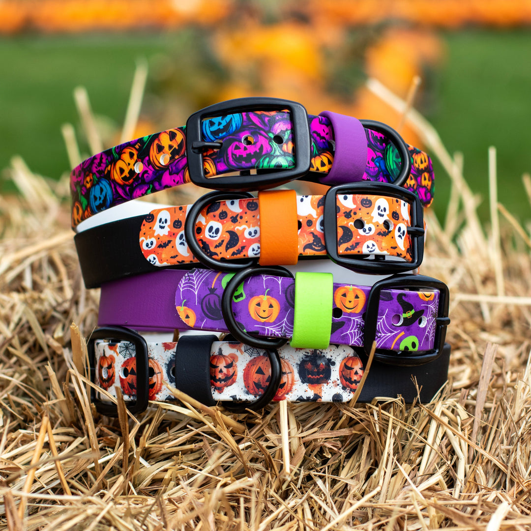 Halloween UV-Printed BioThane® Collar
