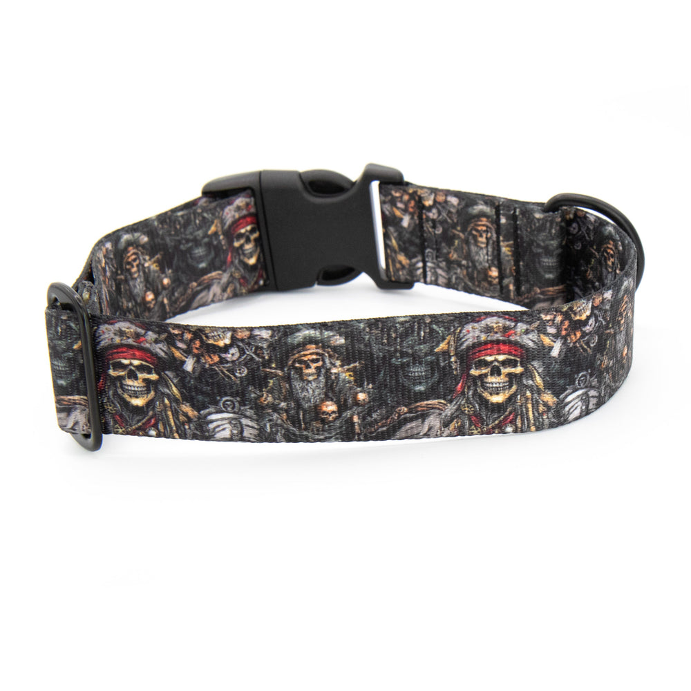 Dog collar with skull and crossbones pattern on a white background