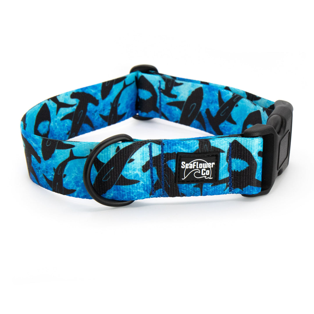 Blue dog collar with black shark pattern on a white background