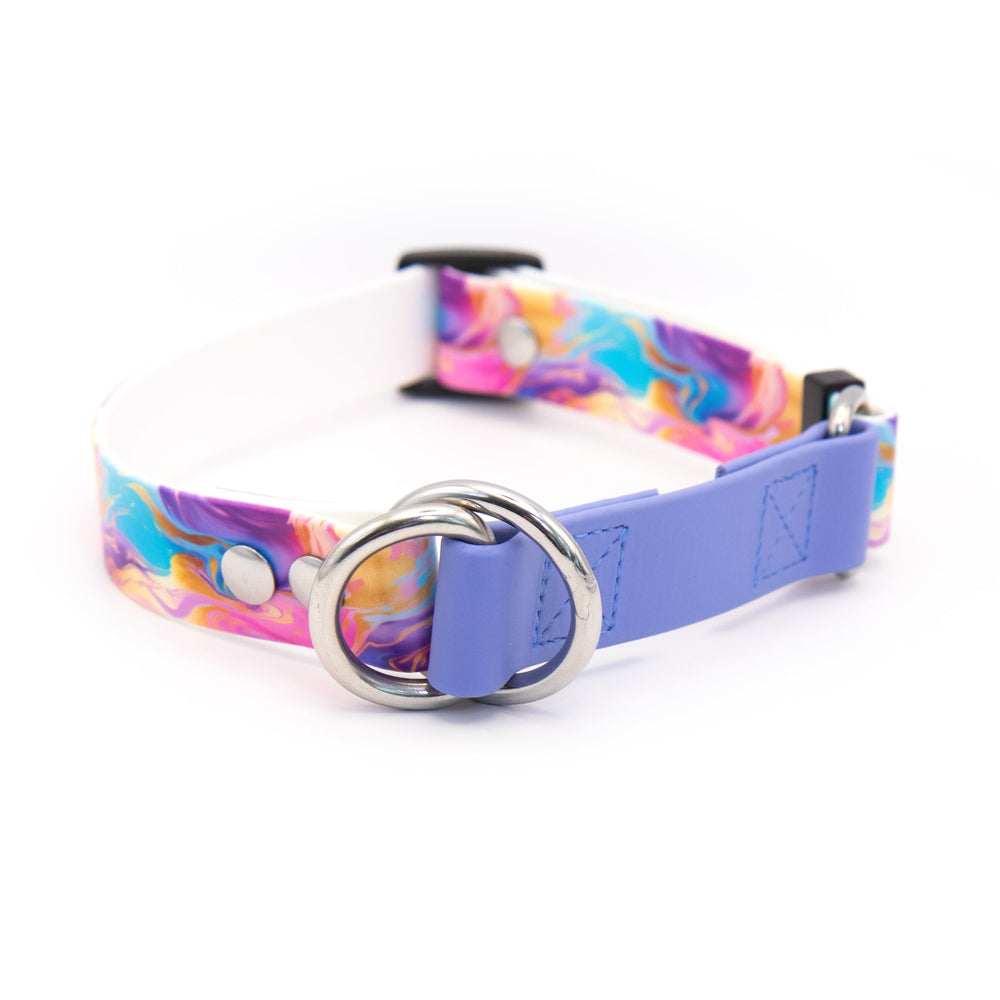 UV Printed BioThane® Limited Slip Collar | Waterproof Slip Collar