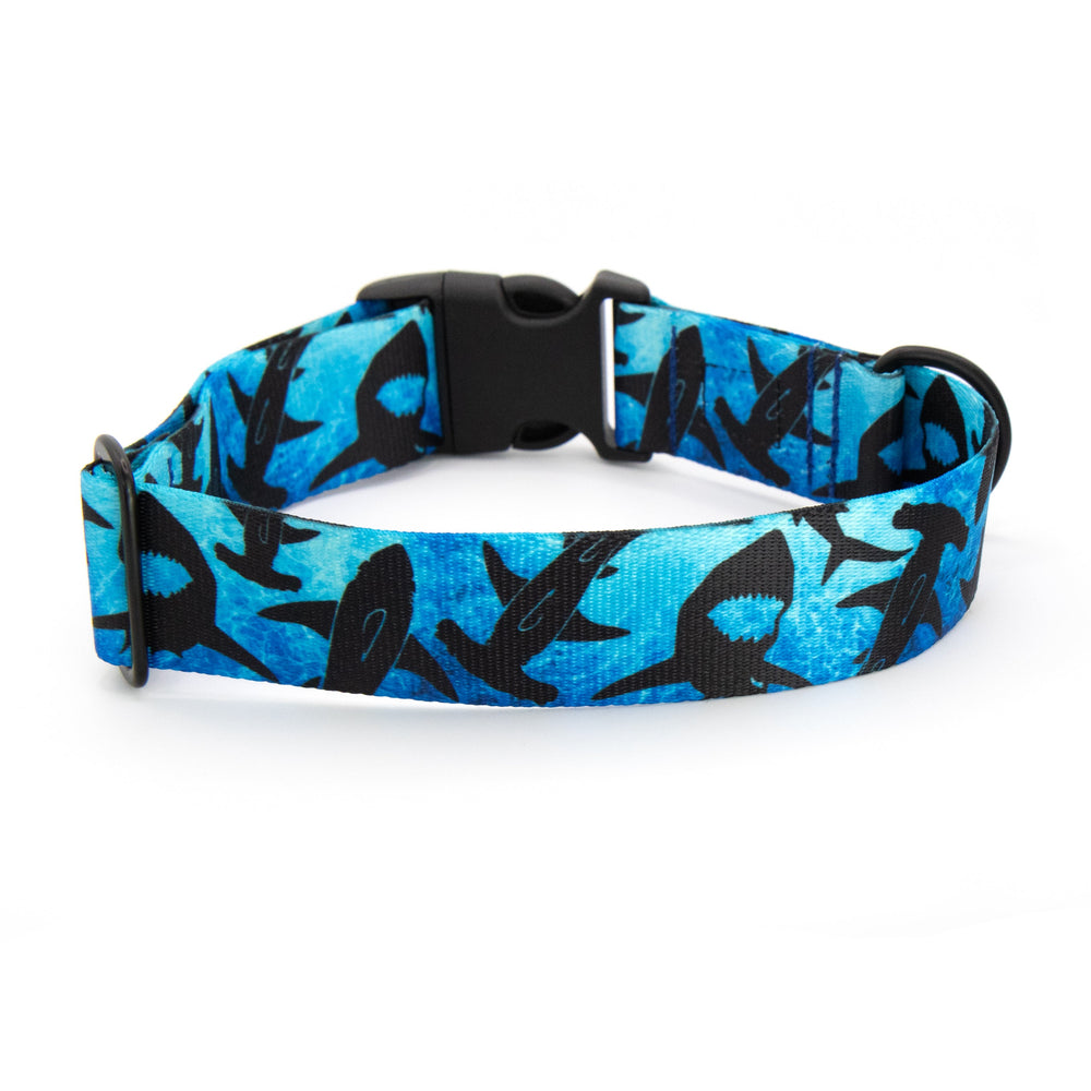 Blue dog collar with black shark pattern on a white background