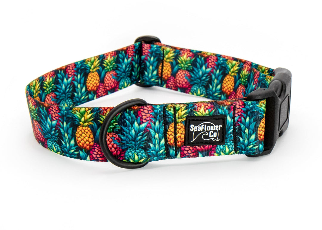 Colorful pineapple-patterned dog collar with a black buckle on a white background
