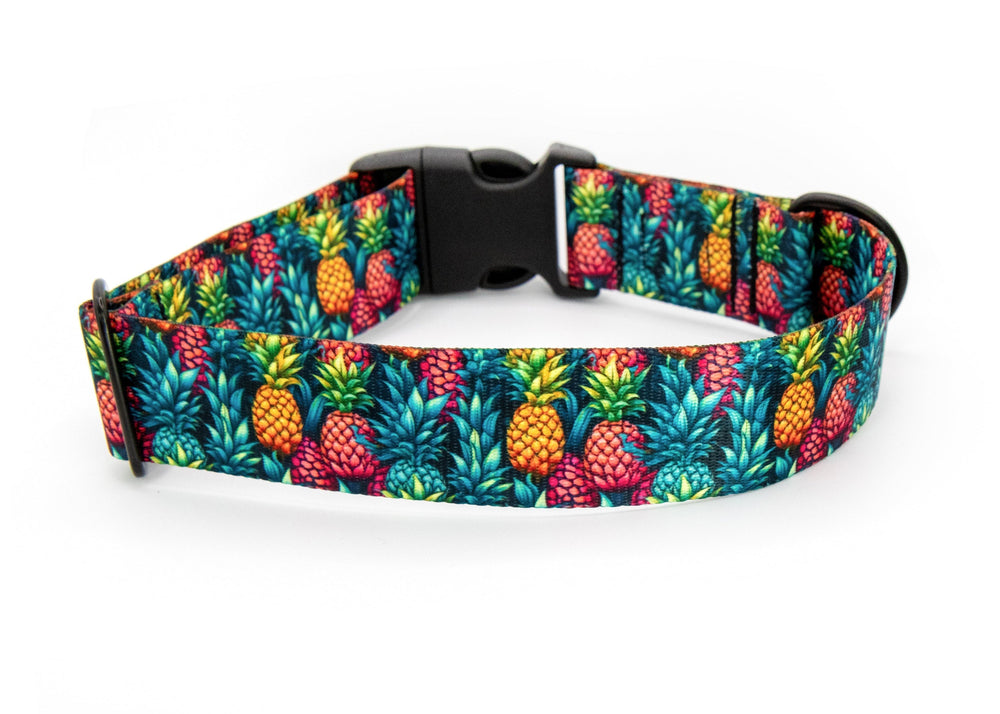 Dog collar with colorful pineapple pattern on a white background