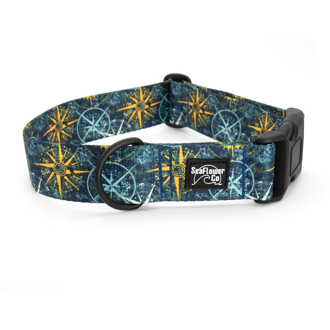 Dog collar with compass pattern on a white background