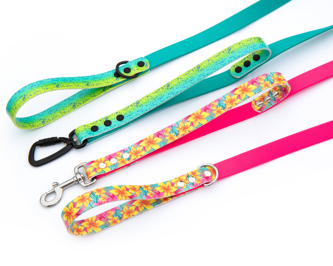 UV-Printed Waterproof BioThane Leash With Traffic Handle