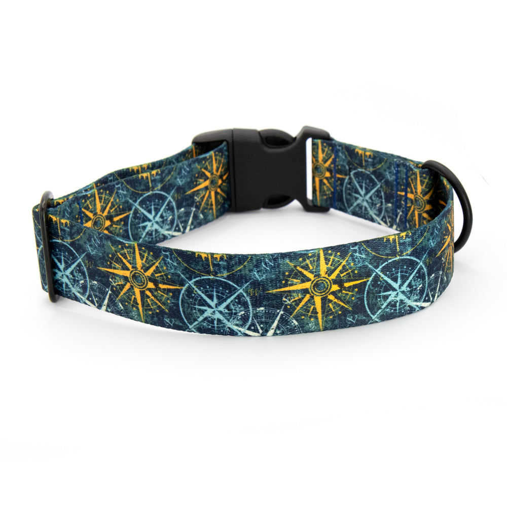 Dog collar with compass pattern on a white background