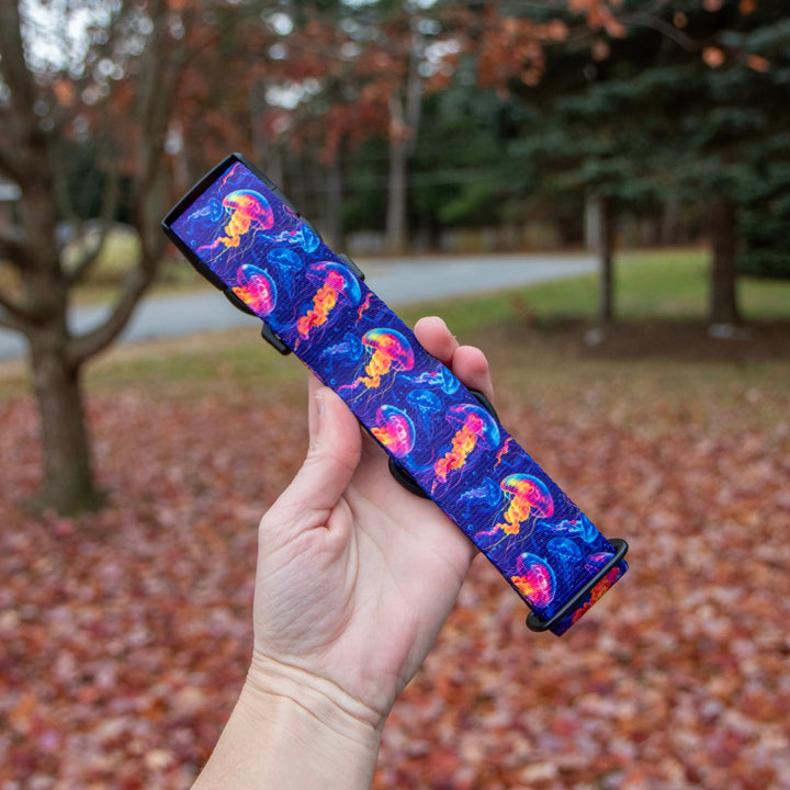 Hand holding a colorful object with a pattern of jellyfish in an outdoor setting with trees and fallen leaves.