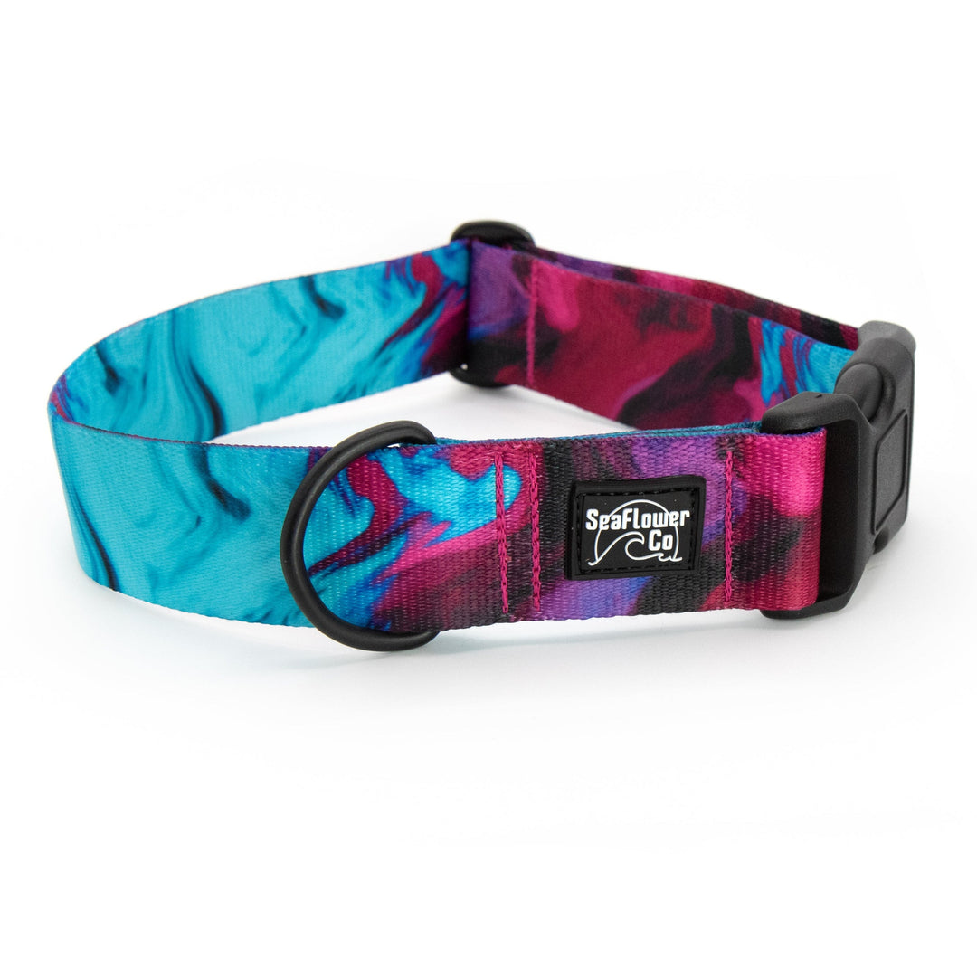 Colorful dog collar with a brand logo on a white background