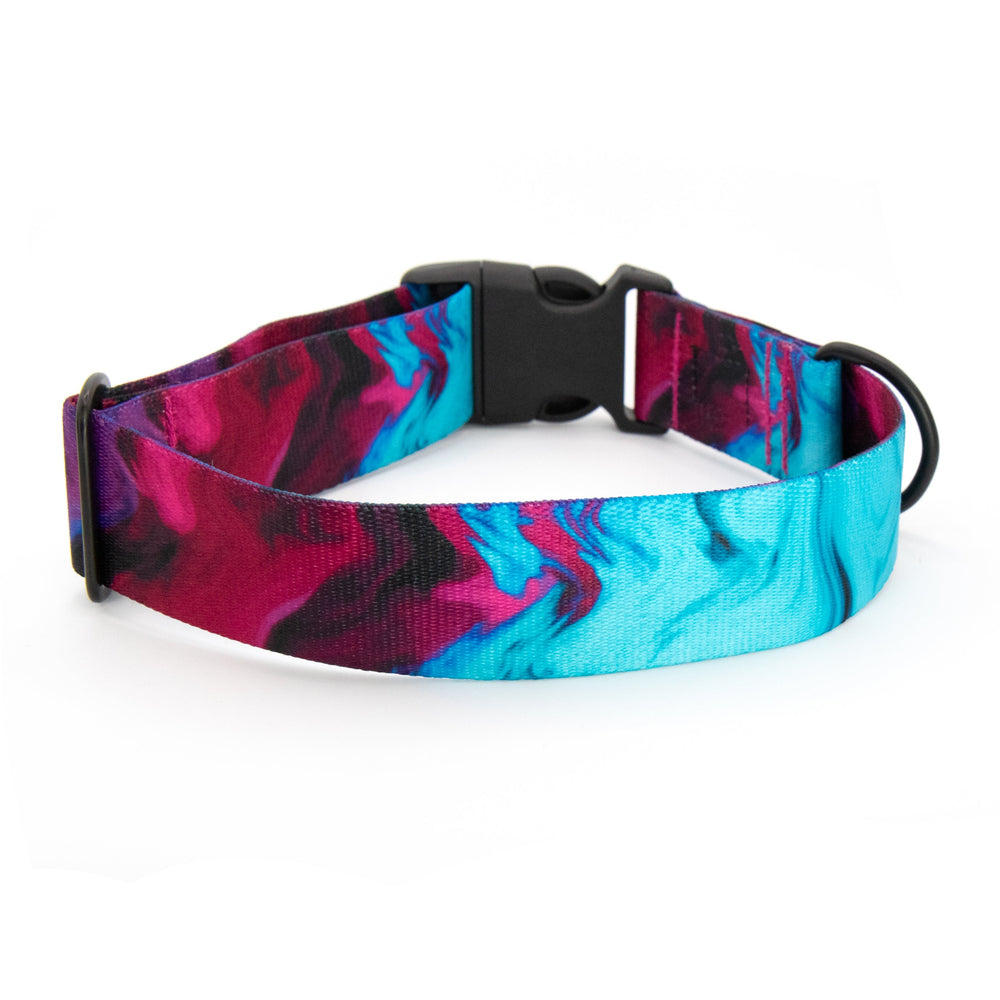 Colorful dog collar with a black buckle on a white background